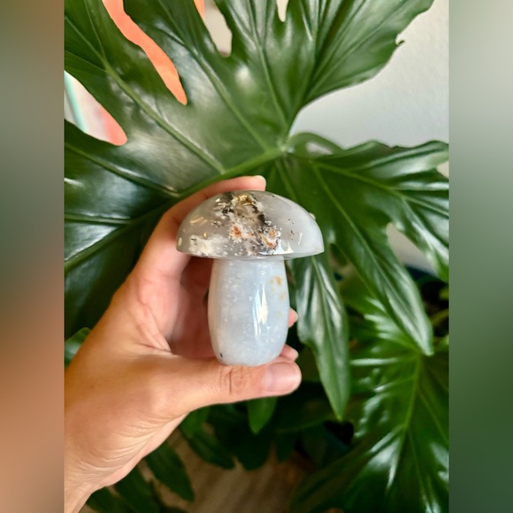 Other - Agate Mushroom